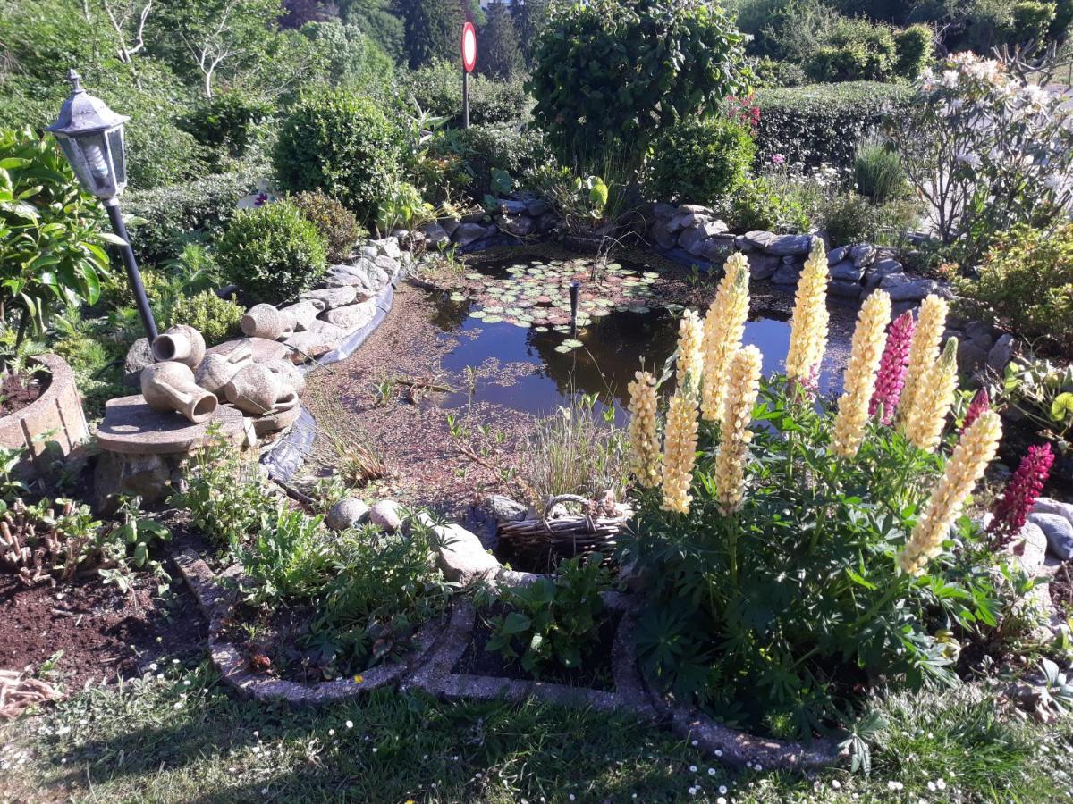 Studio Au jardin fleuri Verviers Exterior foto