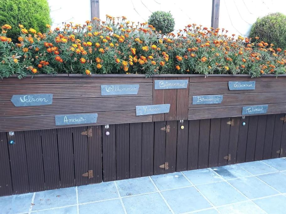 Studio Au jardin fleuri Verviers Exterior foto